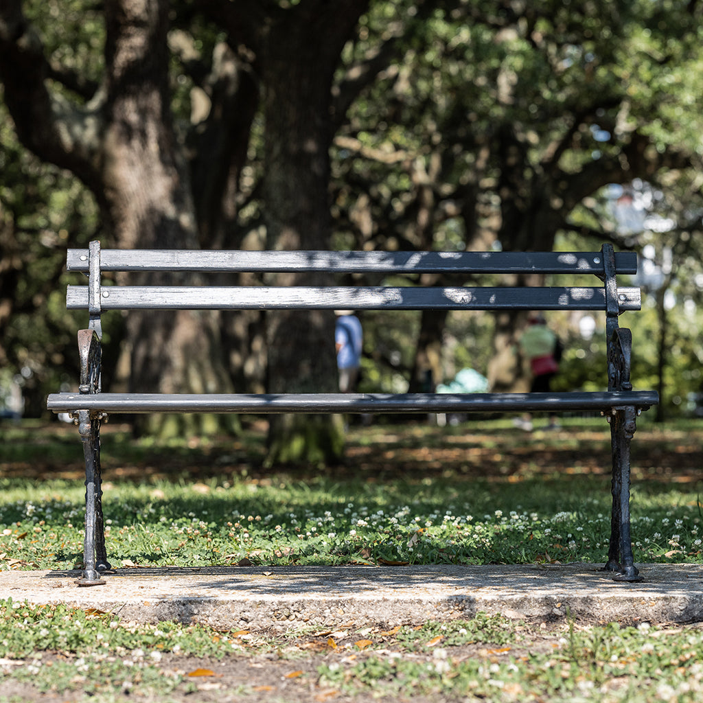 Premium Photo | Bench in park in sunlight relax nature summer background  lifestyle